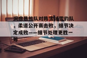 爱游戏官网-洞庭暴熊队对阵雪域雪豹队，柔道公开赛击败，细节决定成败——细节处理更胜一筹的简单介绍