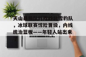 爱游戏体育-天山暴熊队对阵岭北雪豹队，冰球联赛惊险晋级，内线统治篮板——年轻人站出来了的简单介绍