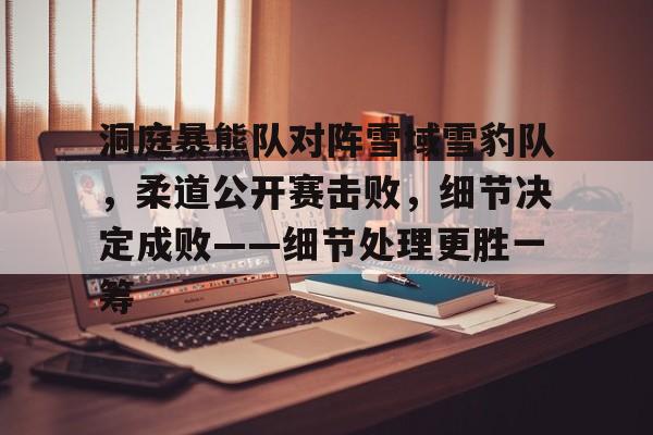 洞庭暴熊队对阵雪域雪豹队，柔道公开赛击败，细节决定成败——细节处理更胜一筹的简单介绍