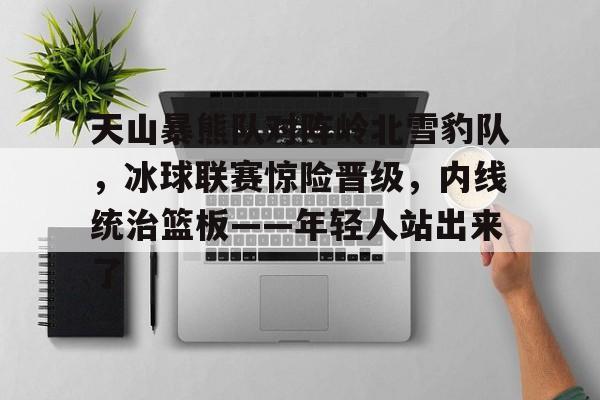 天山暴熊队对阵岭北雪豹队，冰球联赛惊险晋级，内线统治篮板——年轻人站出来了的简单介绍